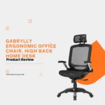 GABRYLLY Ergonomic Office Chair with Adjustable Headrest and Flip-Up Armrests